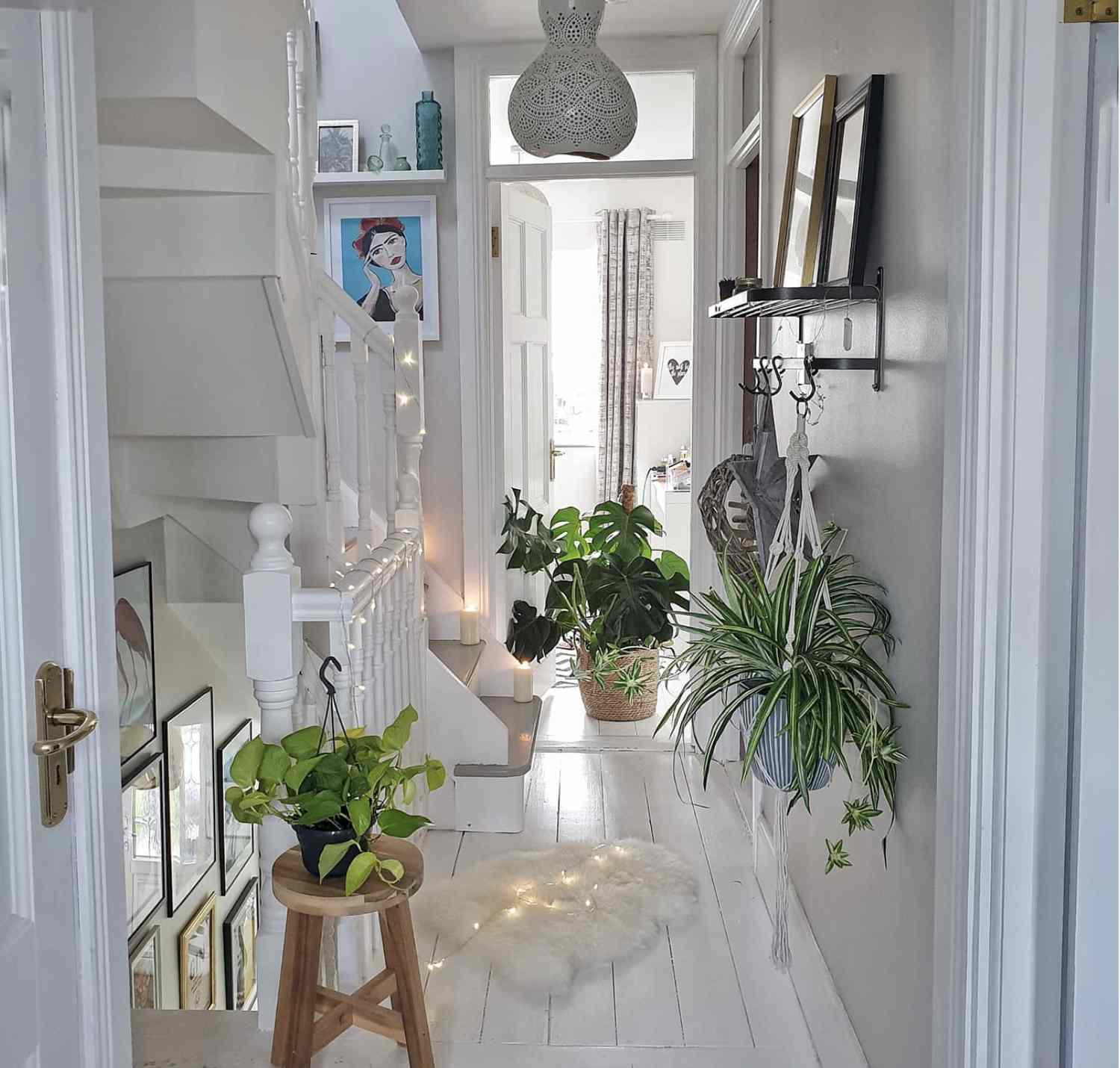 entrée blanche