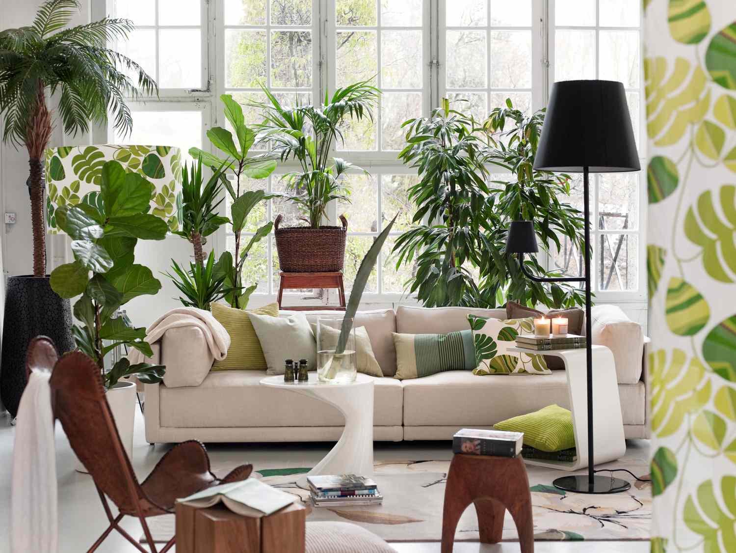 une chambre remplie de plantes