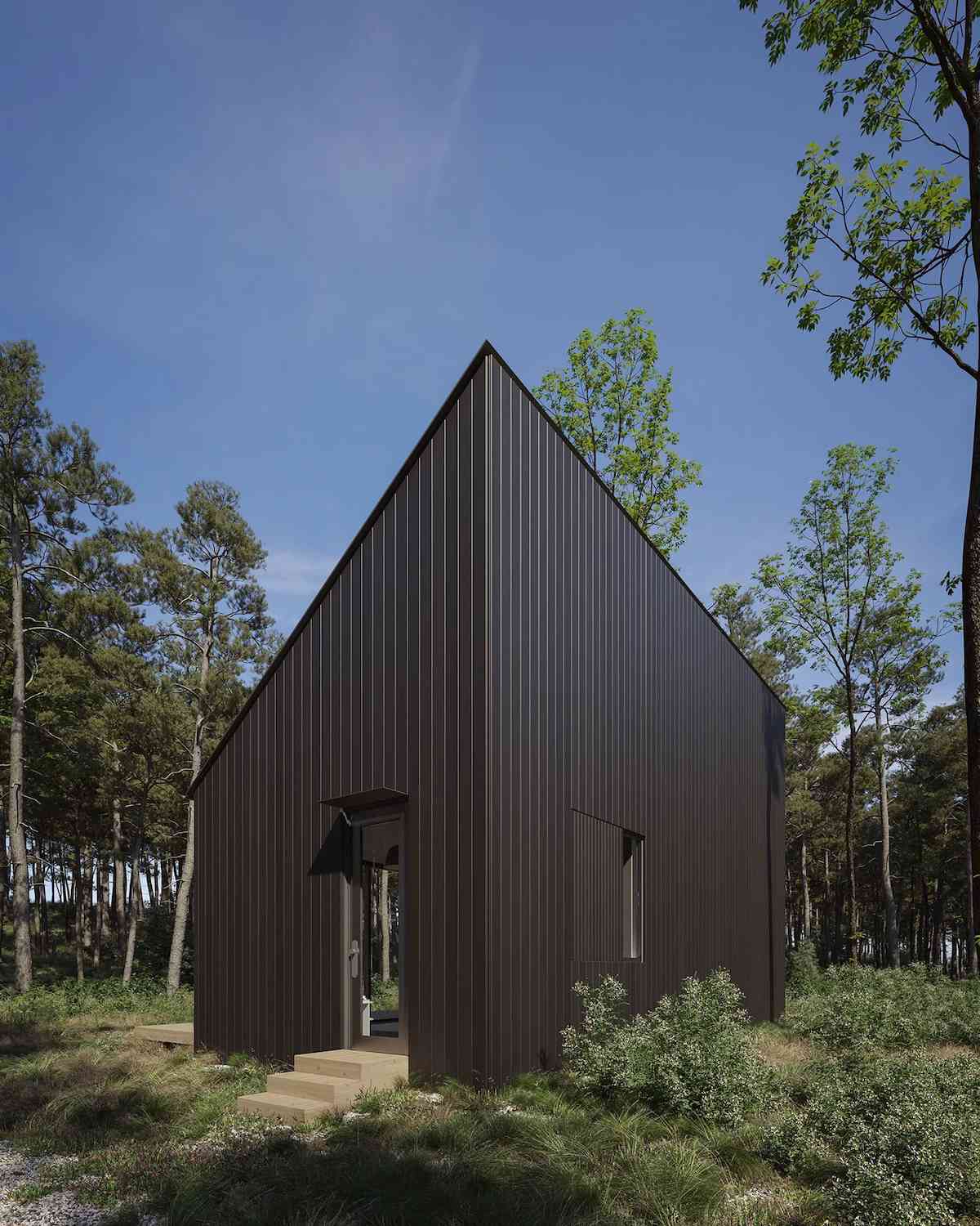 petite cabane de ferme moderne noire