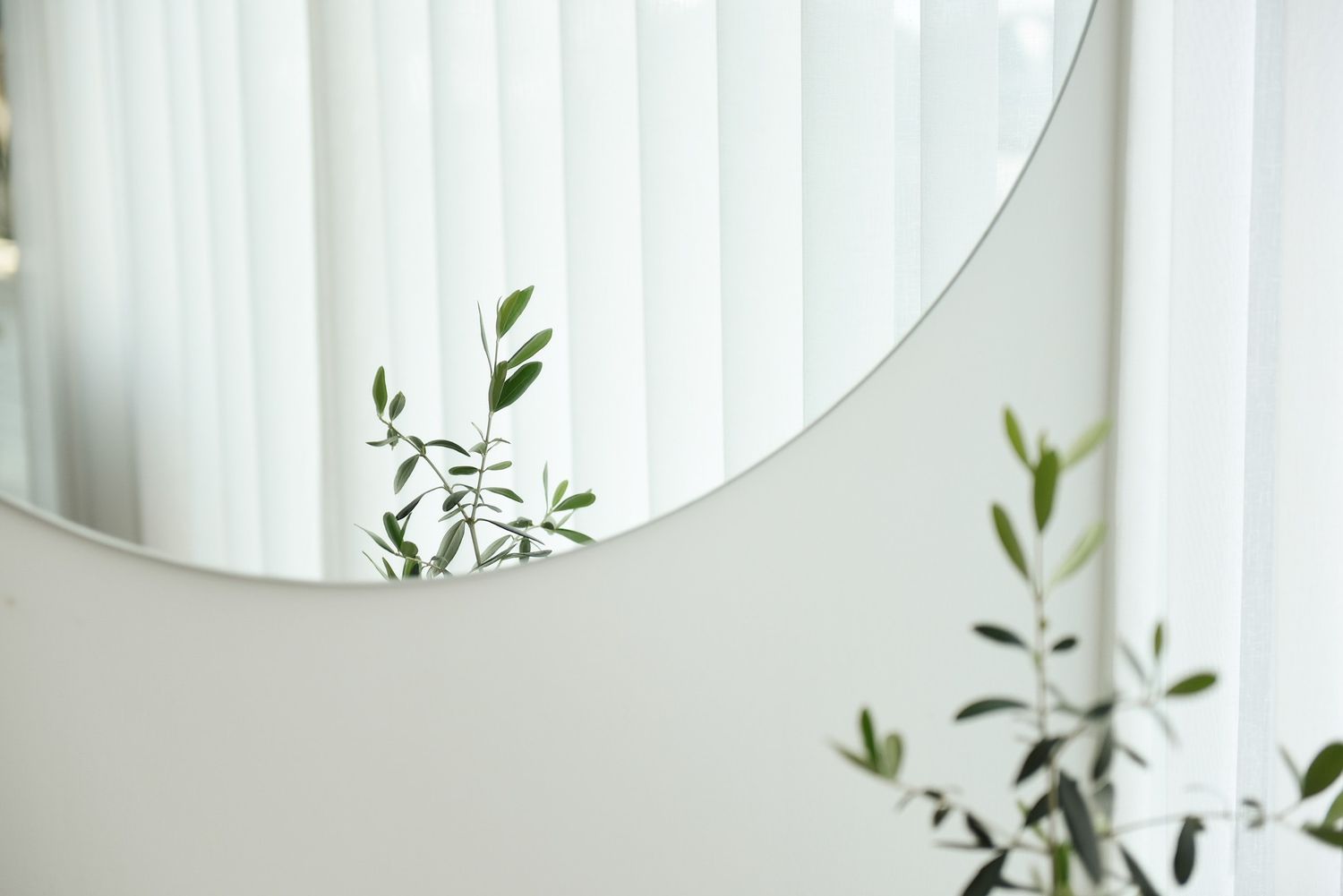 miroir avec une plante
