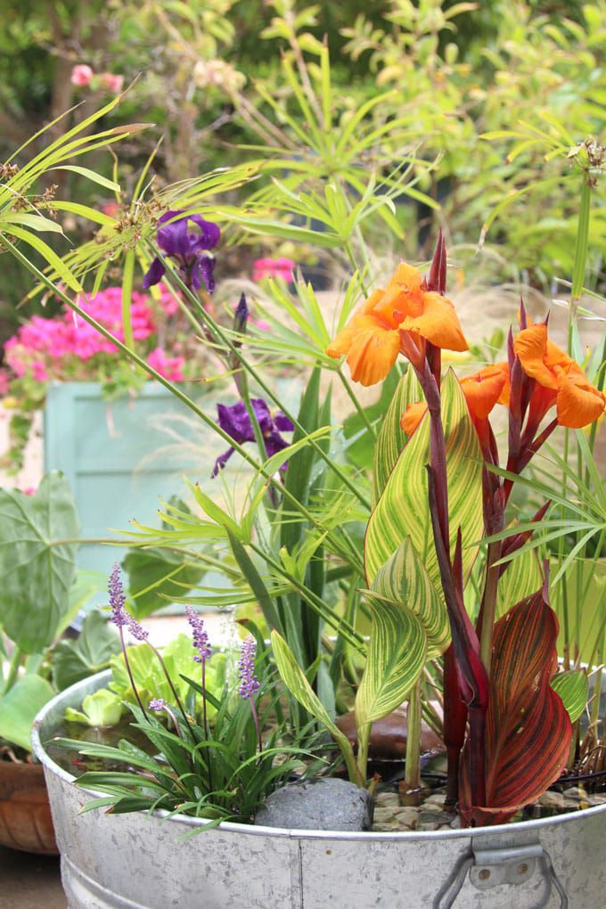 Fleurs colorées dans une fontaine d'eau bricolée.