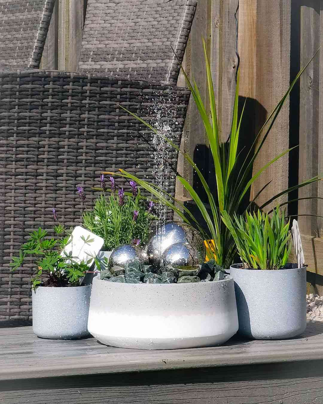 Une petite fontaine à bulles à côté des plantes.