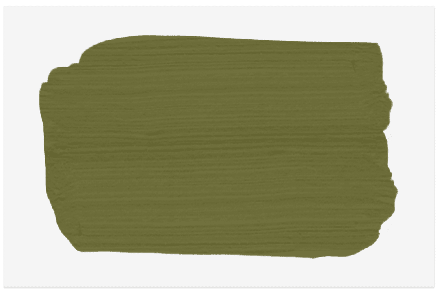 Échantillon de Relentless Olive de Sherwin-Williams