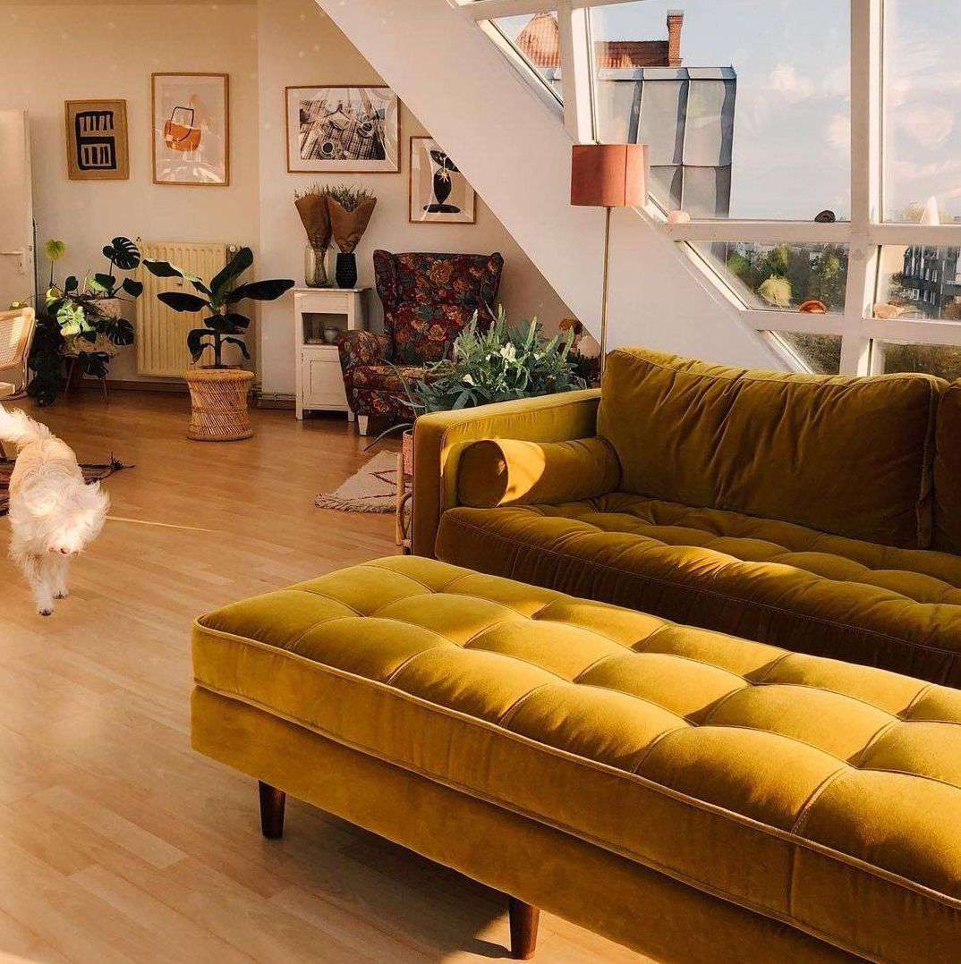 Un canapé en velours ocre dans un salon d'appartement où la lumière jaune d'or passe par les fenêtres.
