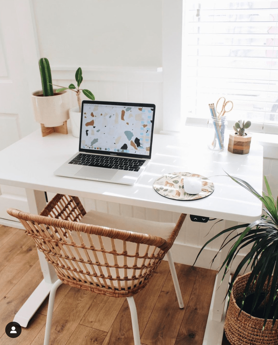 idées de cactus de bureau
