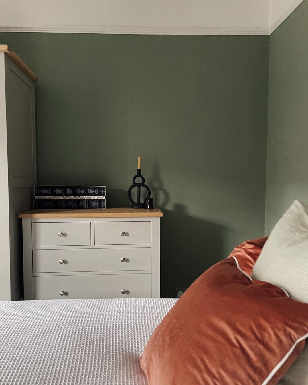 coussins rouille et murs sauge