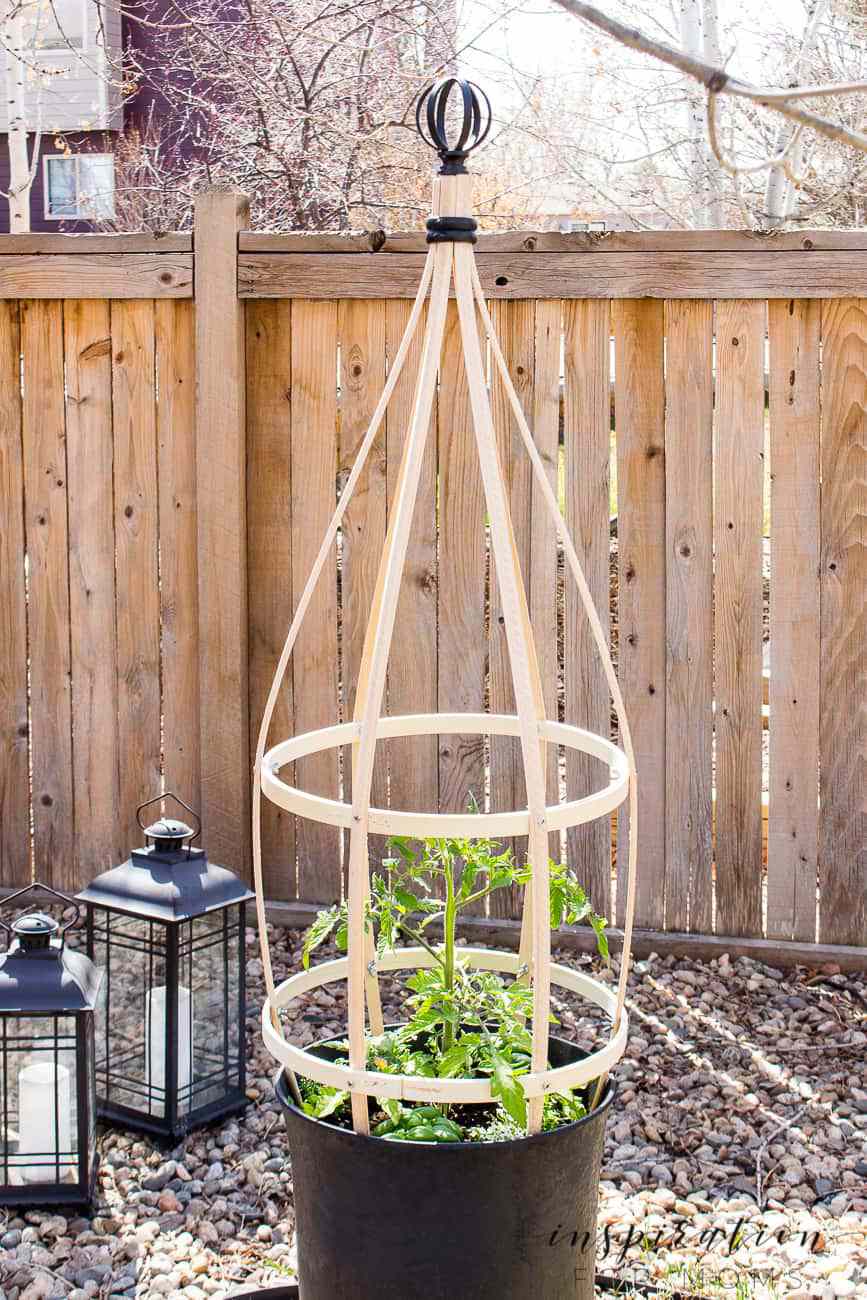 treillis de concombre en conteneur diy