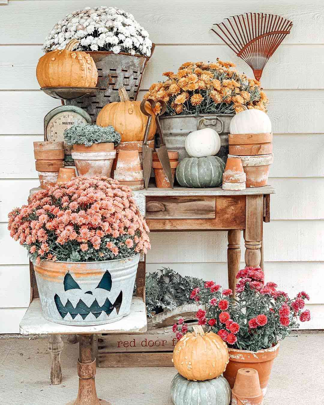 installation de plantes d'automne