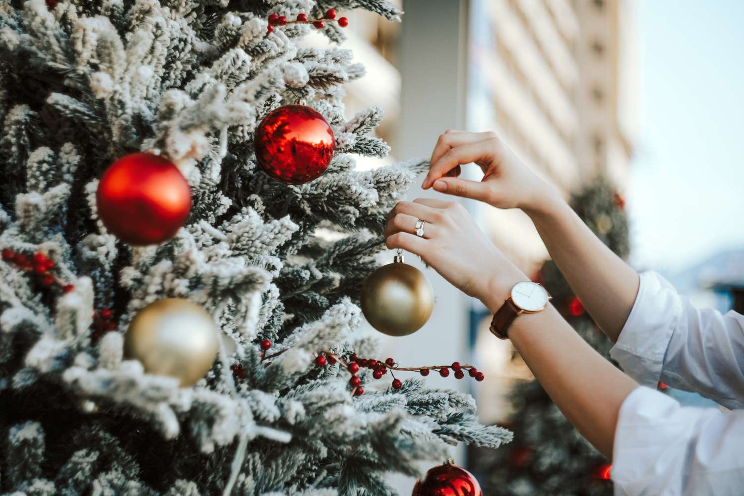 Décoration des arbres de Noël