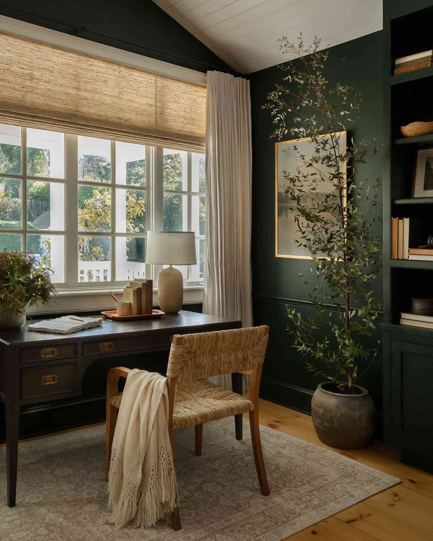salon vert terre avec coin bureau