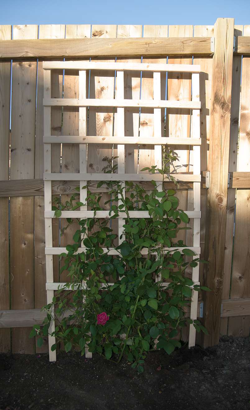 Treillis de jardin DIY