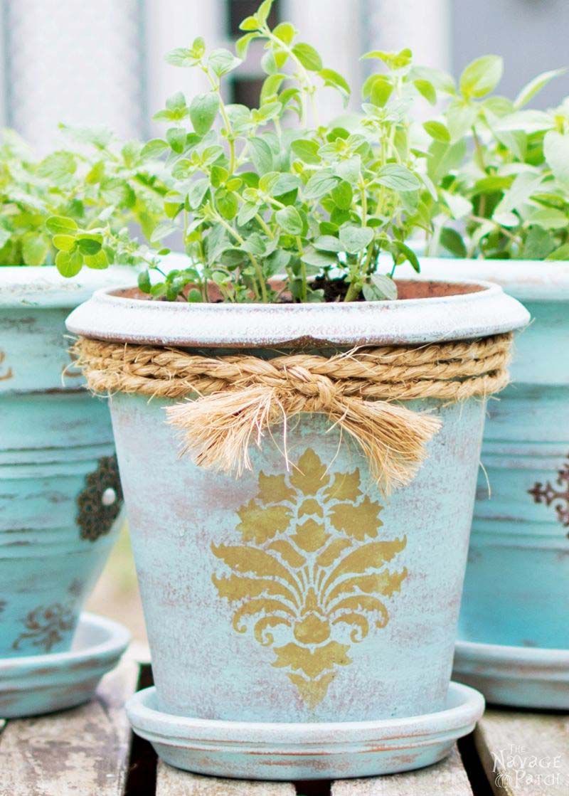 Jardinières bleues sur une table