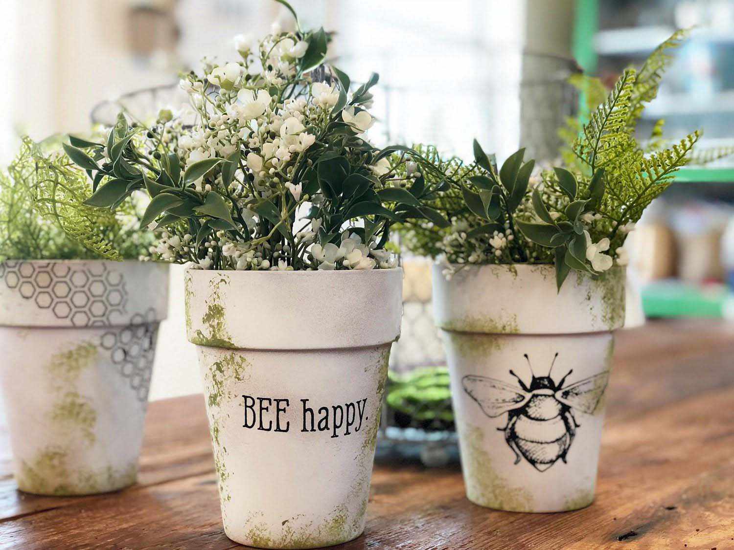 Trois pots blancs avec des plantes