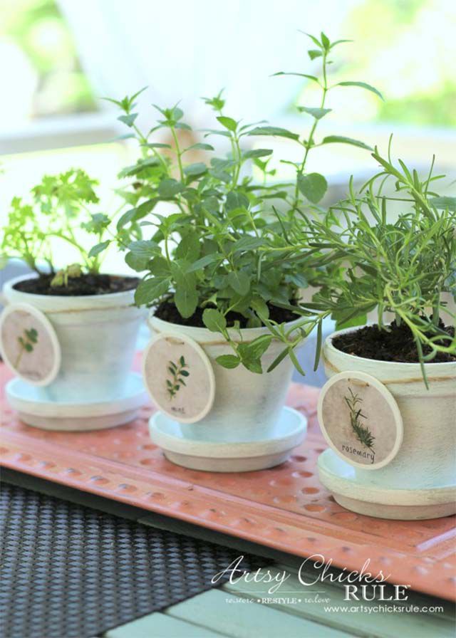 Trois pots en argile blanche avec des herbes