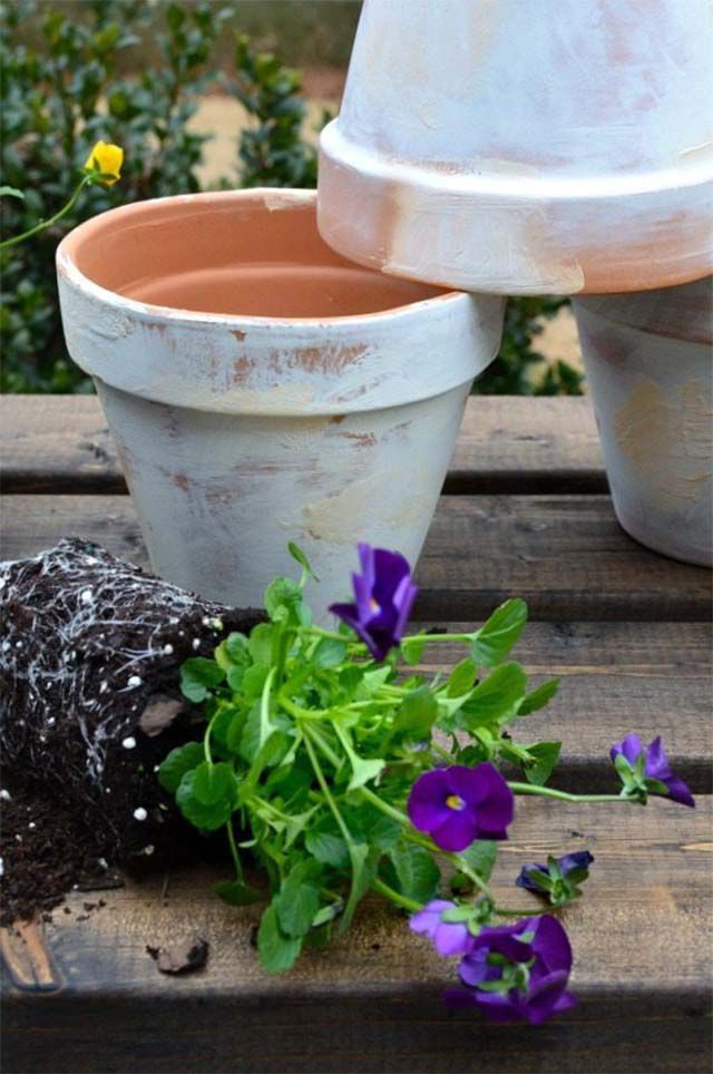 Trois pots avec une fleur violette