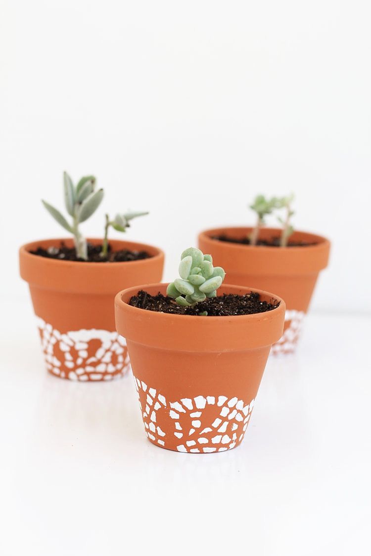 Pots en terre cuite peints d'un motif blanc