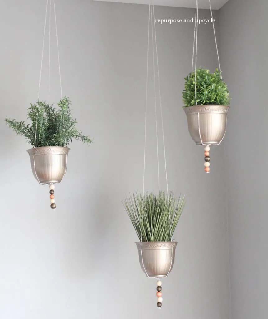 Jardinières en or suspendues au plafond