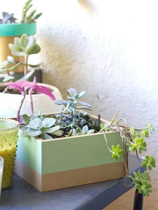 Une jardinière verte et brune