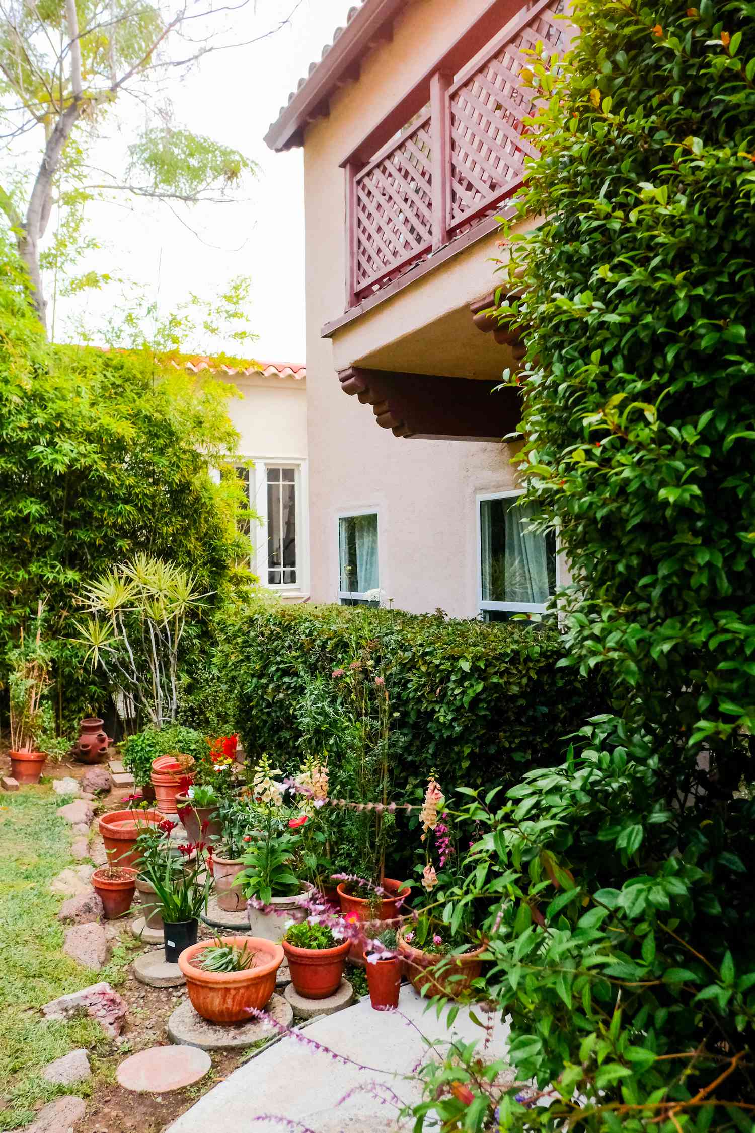 Une allée de jardin avec des plantes en pot