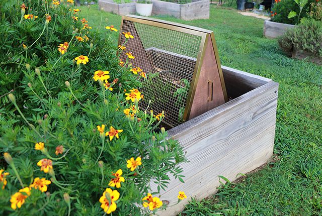 Un jardin surélevé avec une couverture végétale élégante