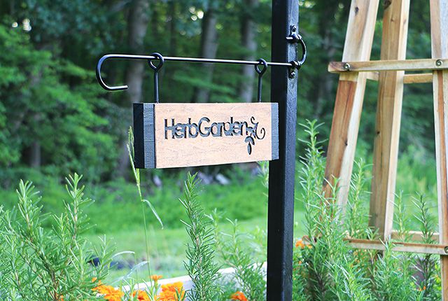 Une arrière-cour avec un panneau de jardin d'herbes aromatiques DIY