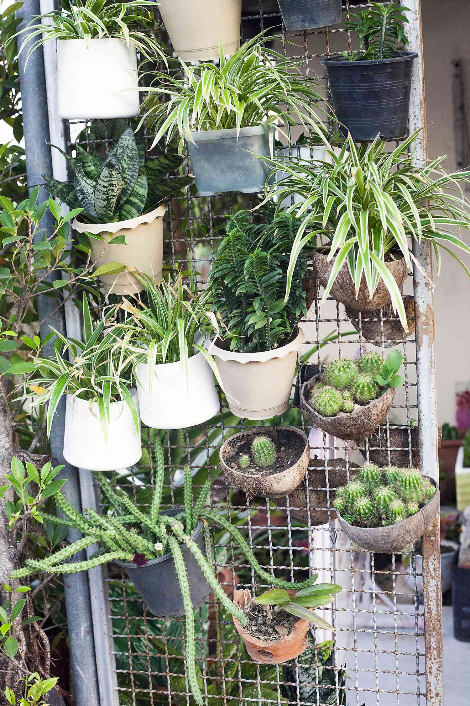 Accrocher des plantes en pot à un portail de jardin