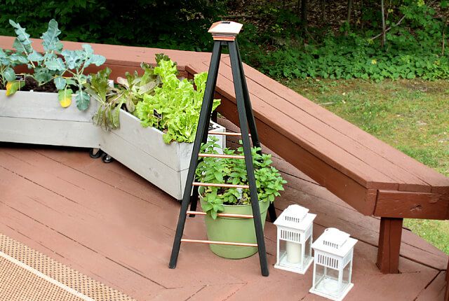 Une terrasse avec des plantes et un treillis en cuivre et noir