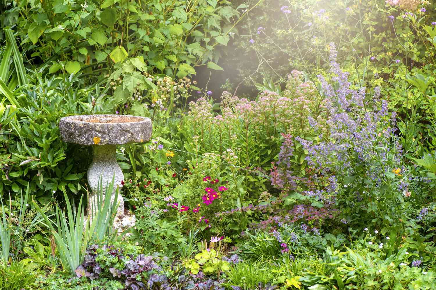 jardin vert et fantaisiste