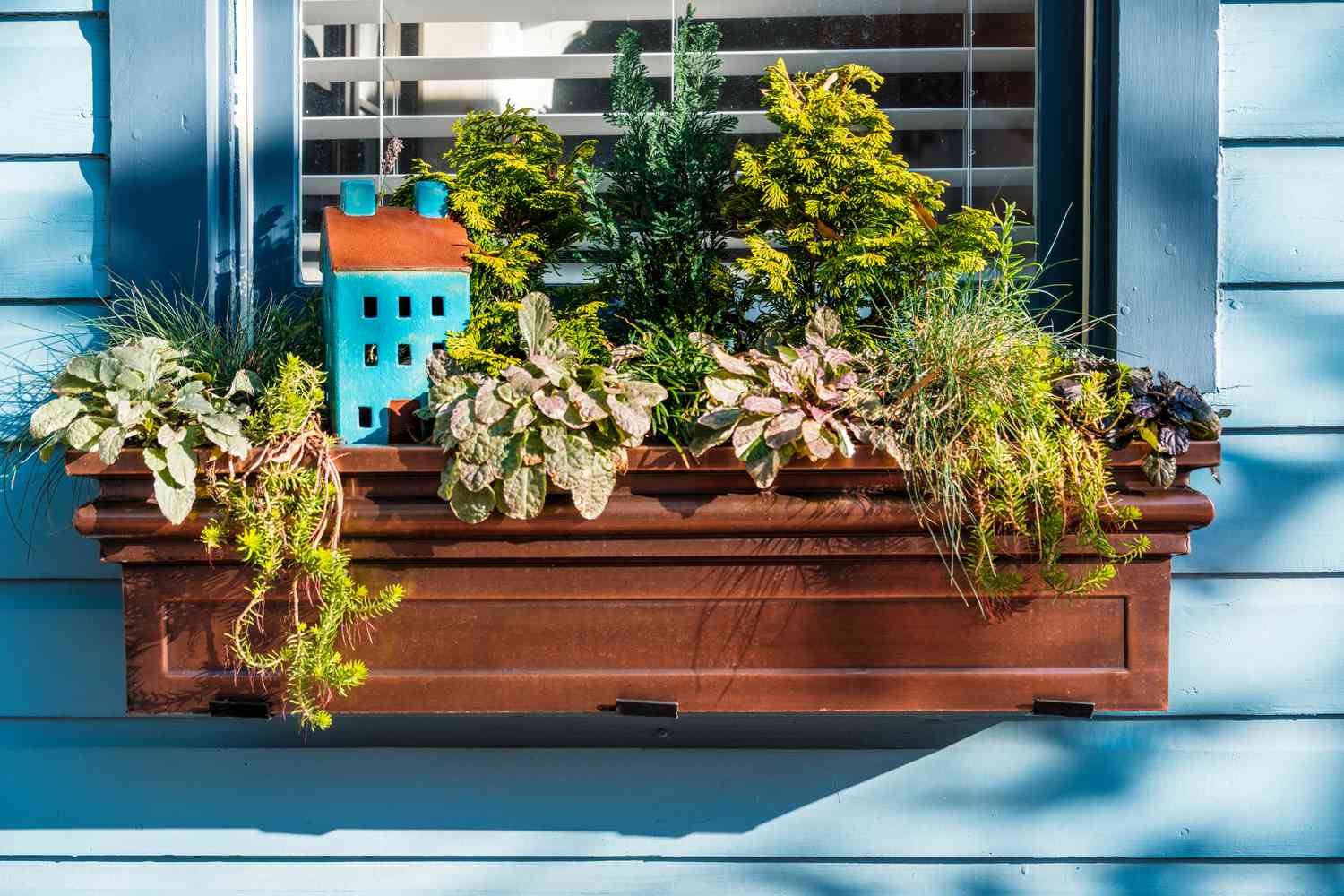 Feuillage luxuriant décorant une jardinière