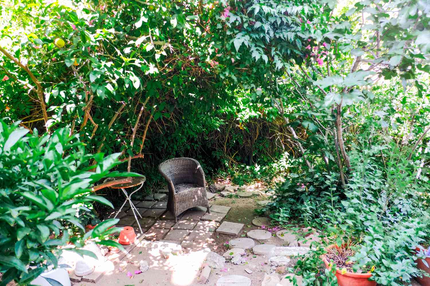 chaise dans un jardin luxuriant