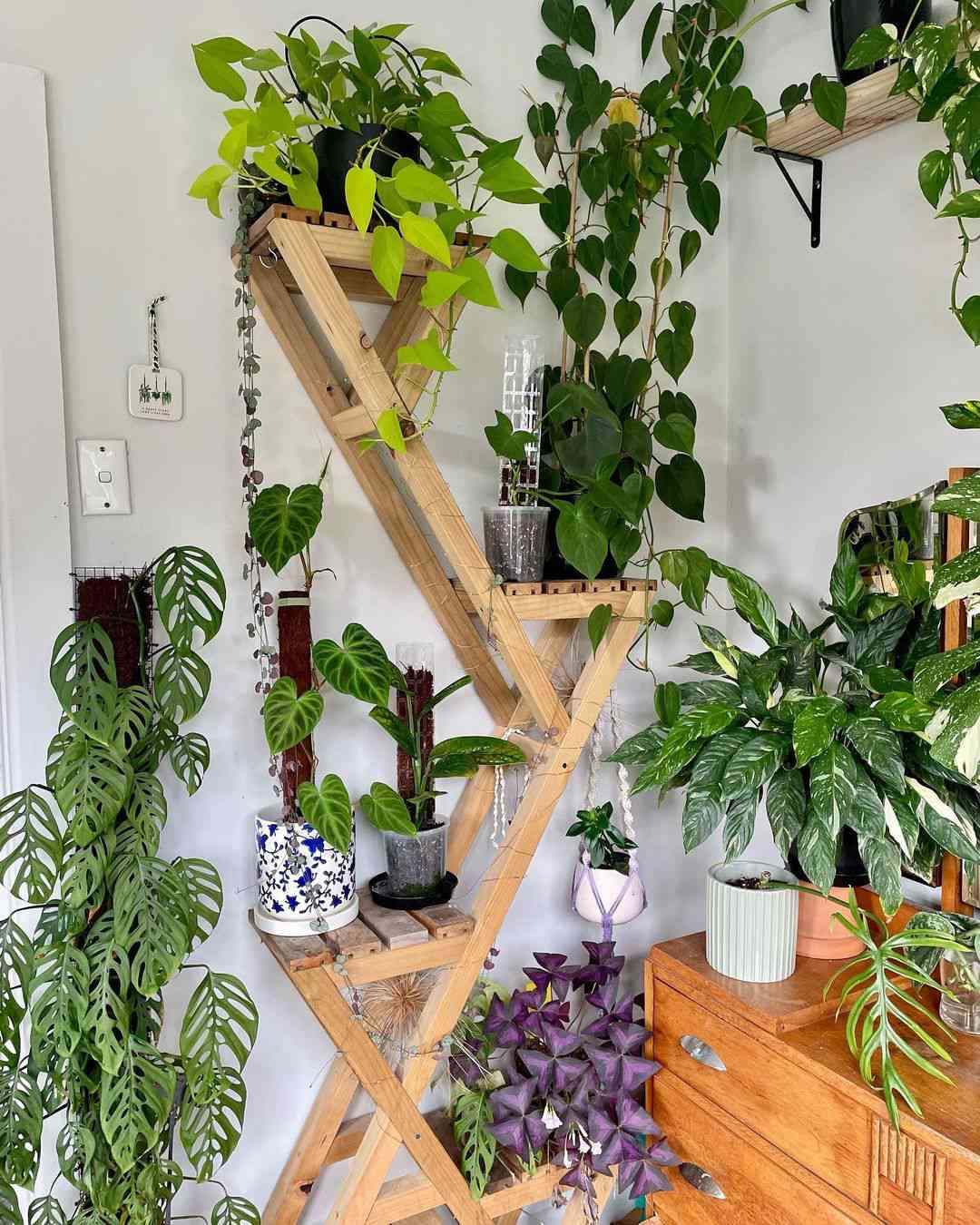 étagère angulaire en bois pour plantes