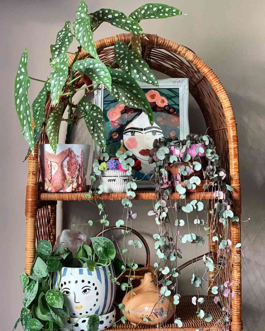 plantes décorées sur le thème du visage