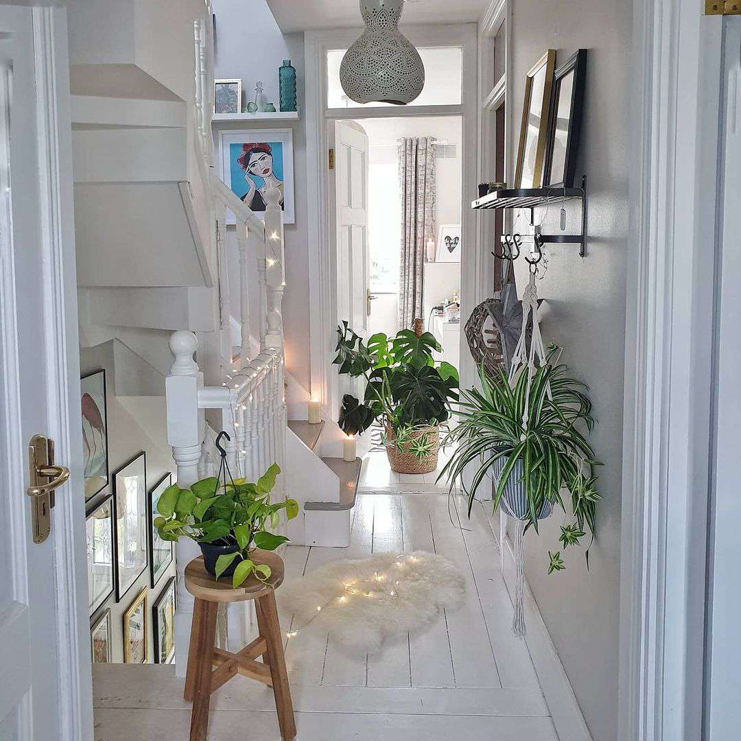 Couloir avec des plantes et des photos sur une corniche