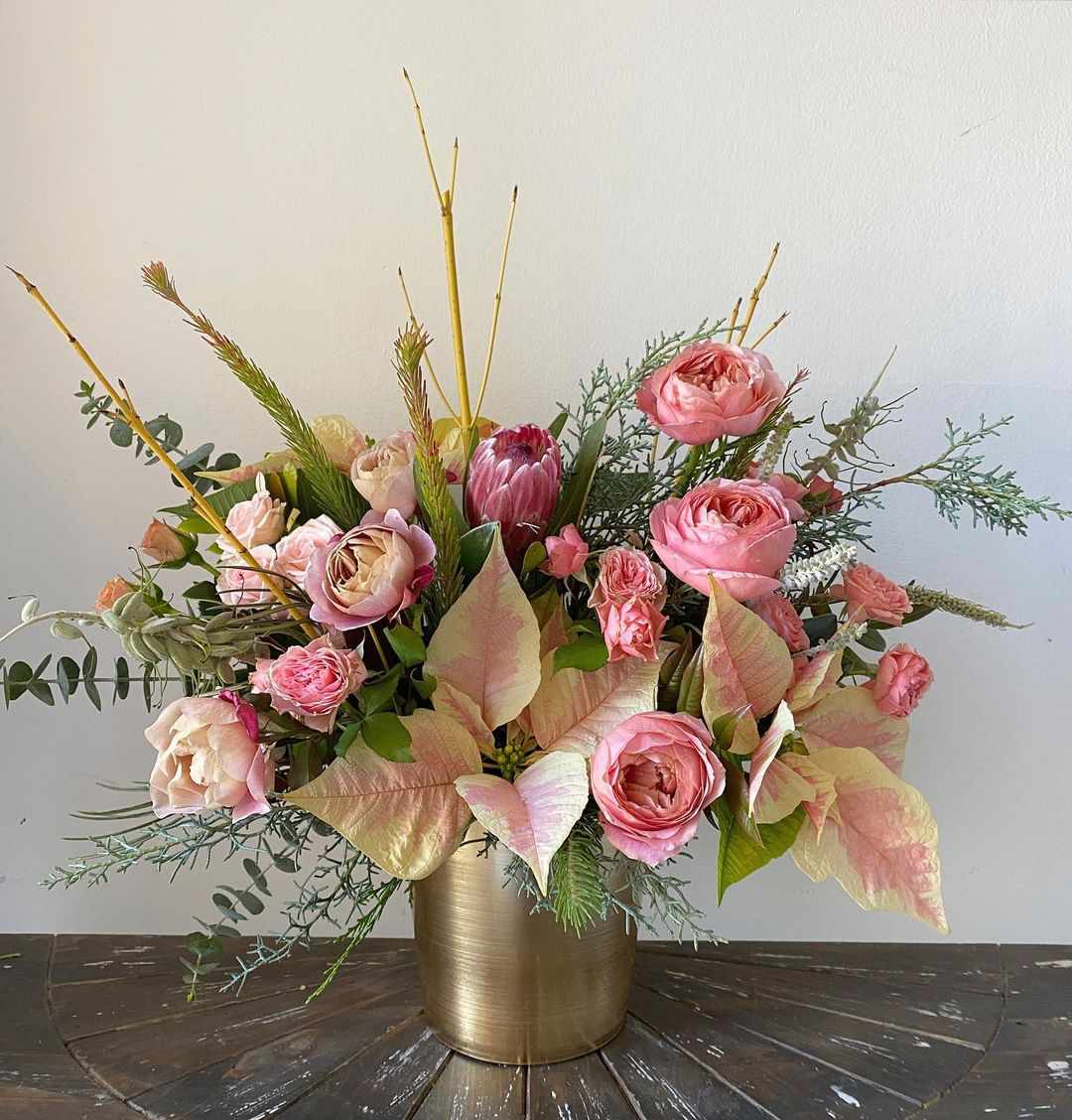 Poinsettias roses