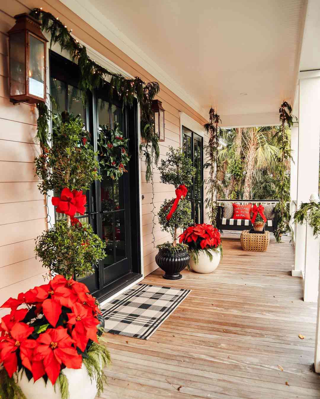 poinsettias de porche