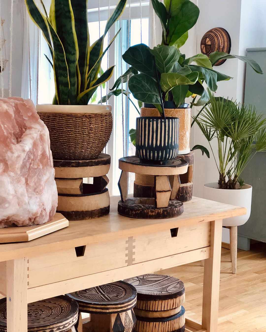 Plantes d'intérieur en pot sur des tabourets en bois sur une table console