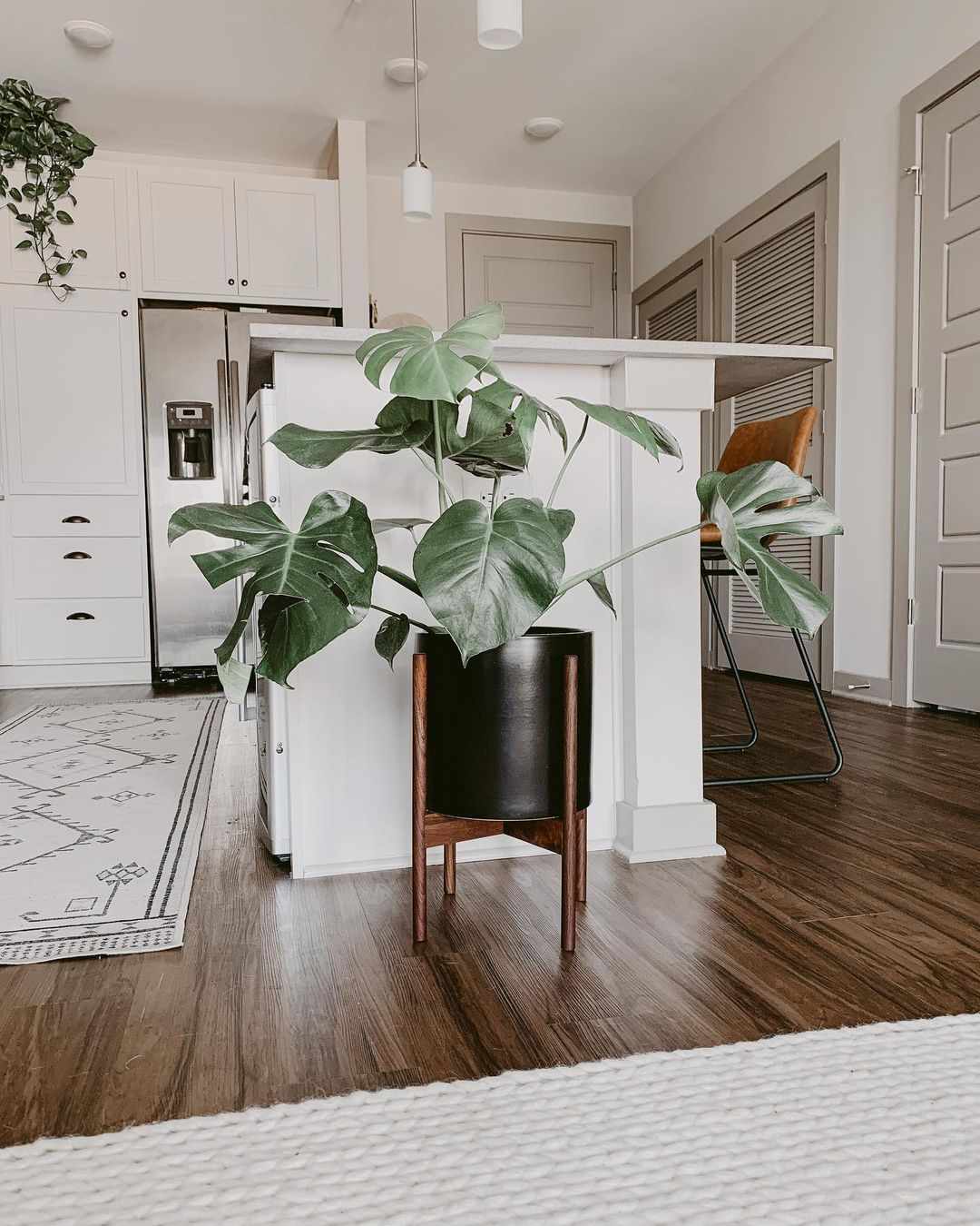 Plante en pot dans un support en bois brun de style moderne du milieu du siècle dernier.