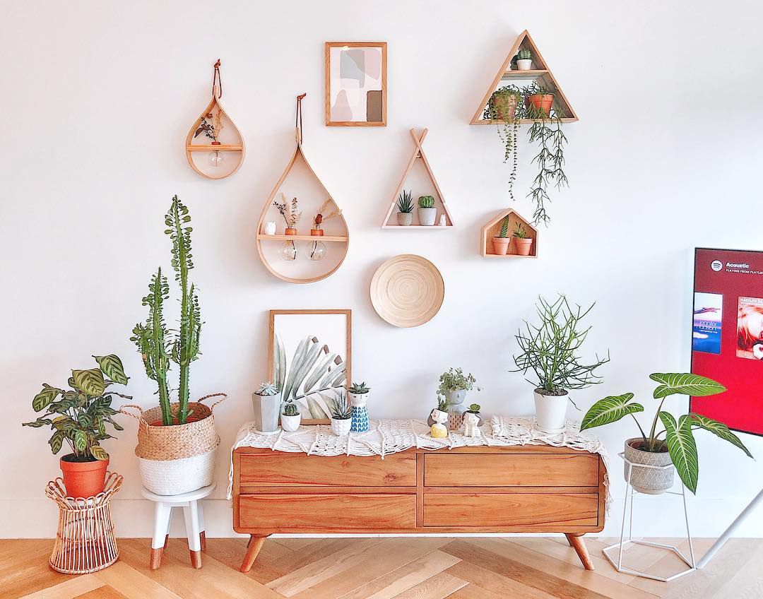 Plantes en pot sur trois styles de tabourets différents