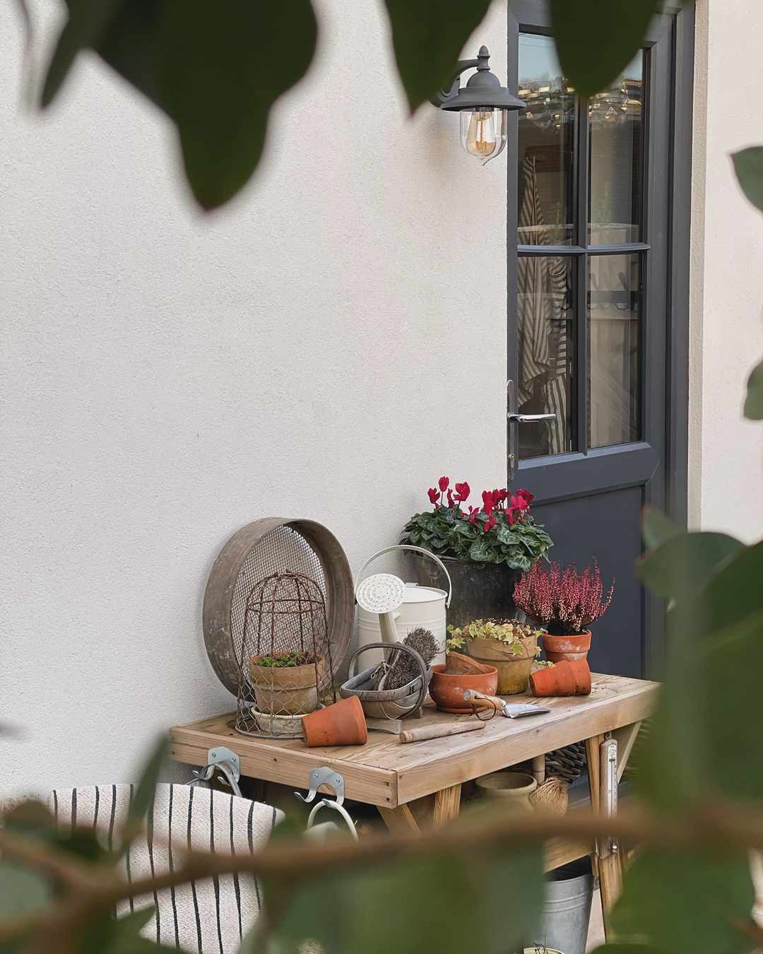 Pot de fleurs de jardin