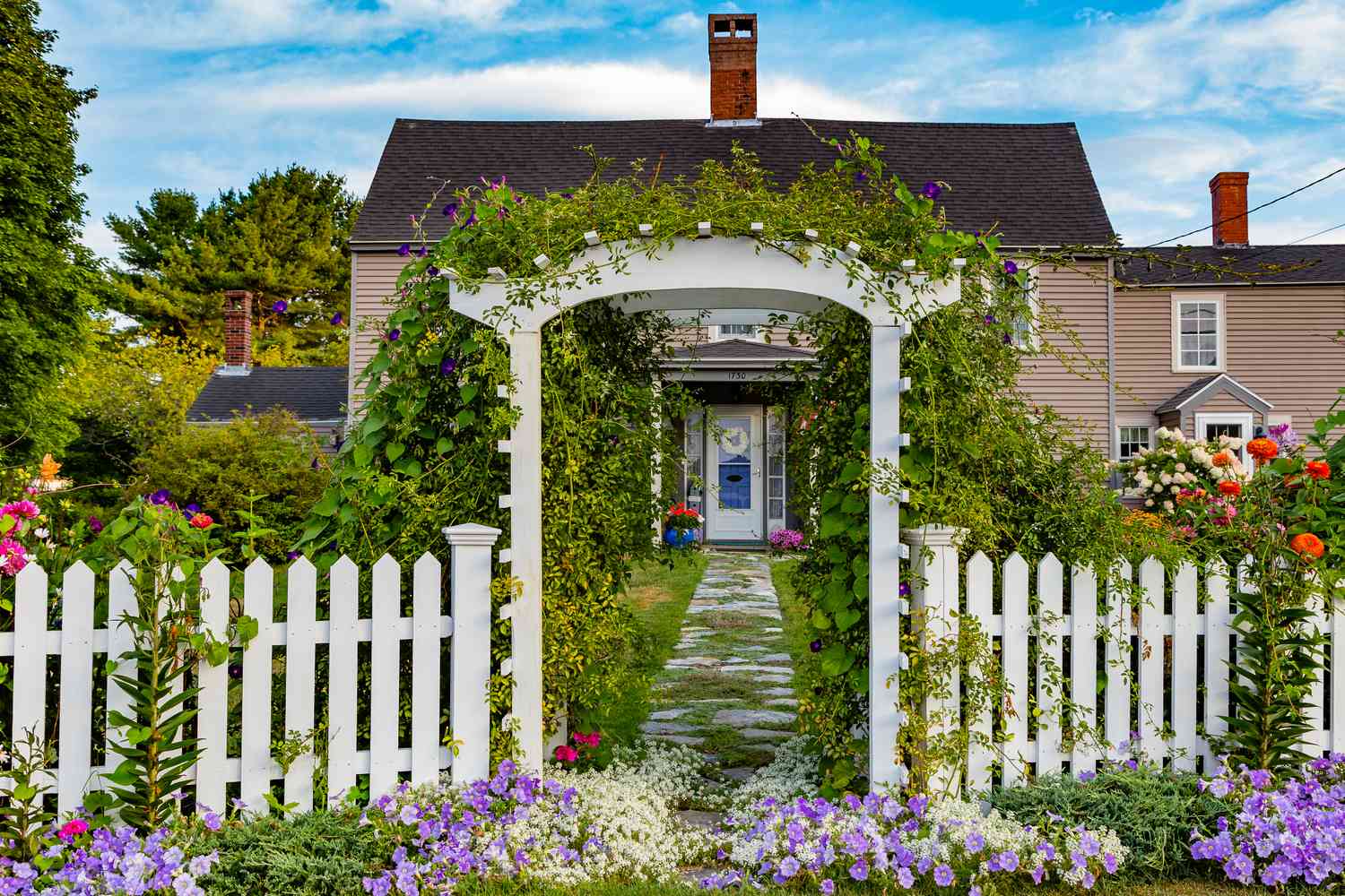 Une clôture de piquets blancs avec une tonnelle de vigne blanche à la place d'un portail classique.
