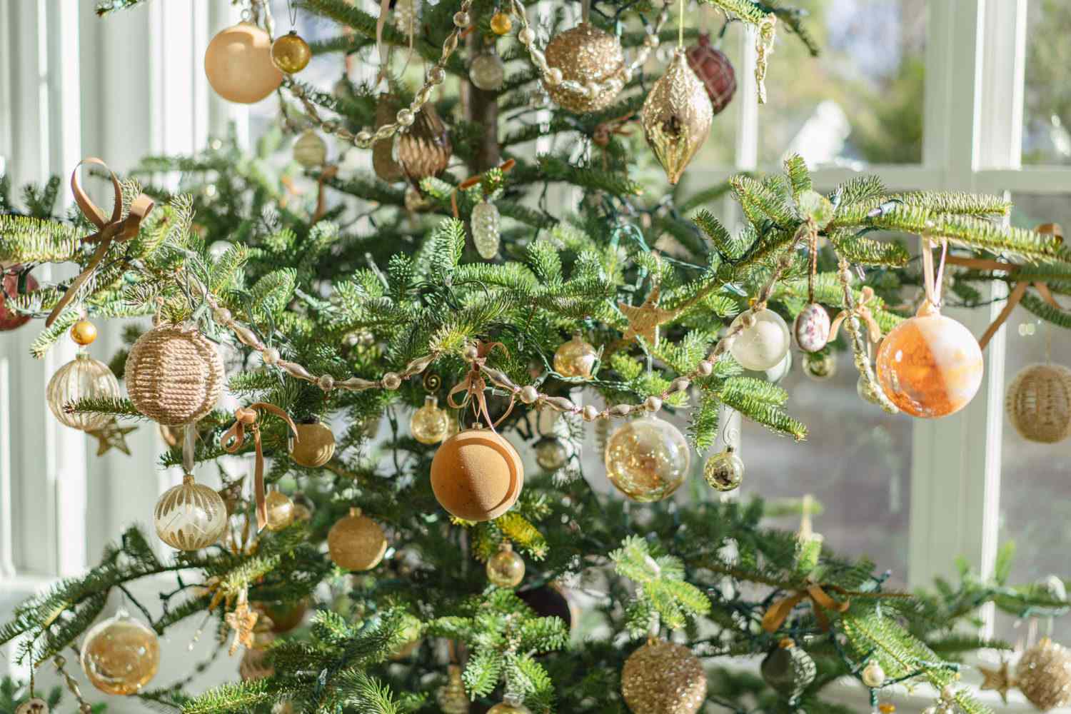 Guirlande sur l'arbre