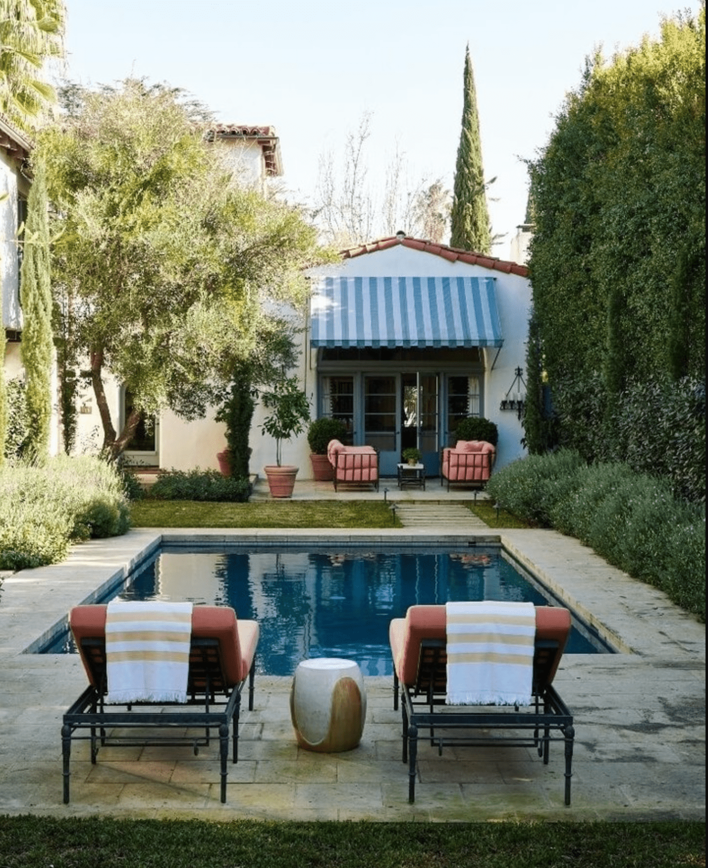 Arbustes hauts autour de la piscine 