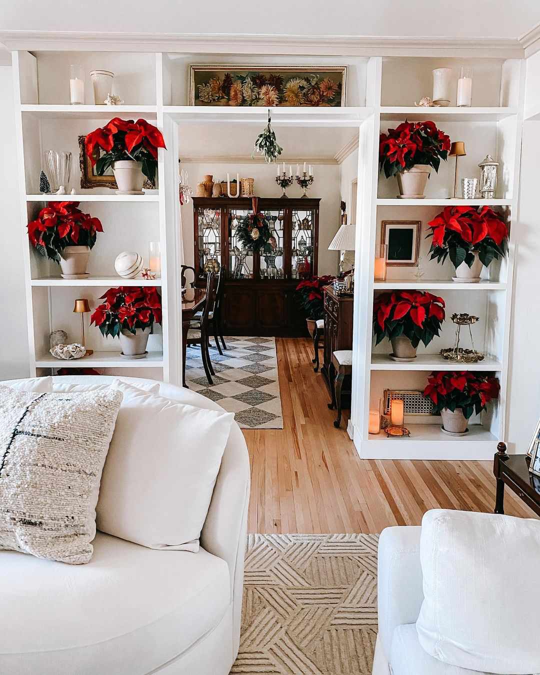 Poinsettias en pot sur des étagères