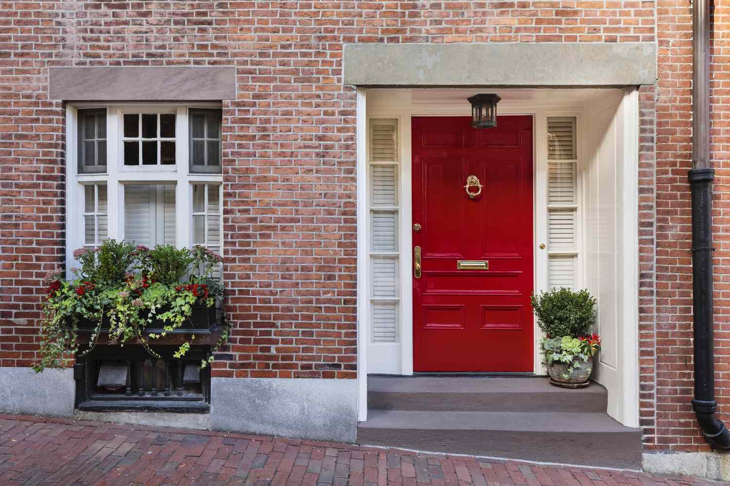 Une vue de face d'une maison en briques le long du trottoir avec une abondance de plantes à fleurs sur le rebord de la fenêtre. La porte est peinte d'une couleur rouge profond.