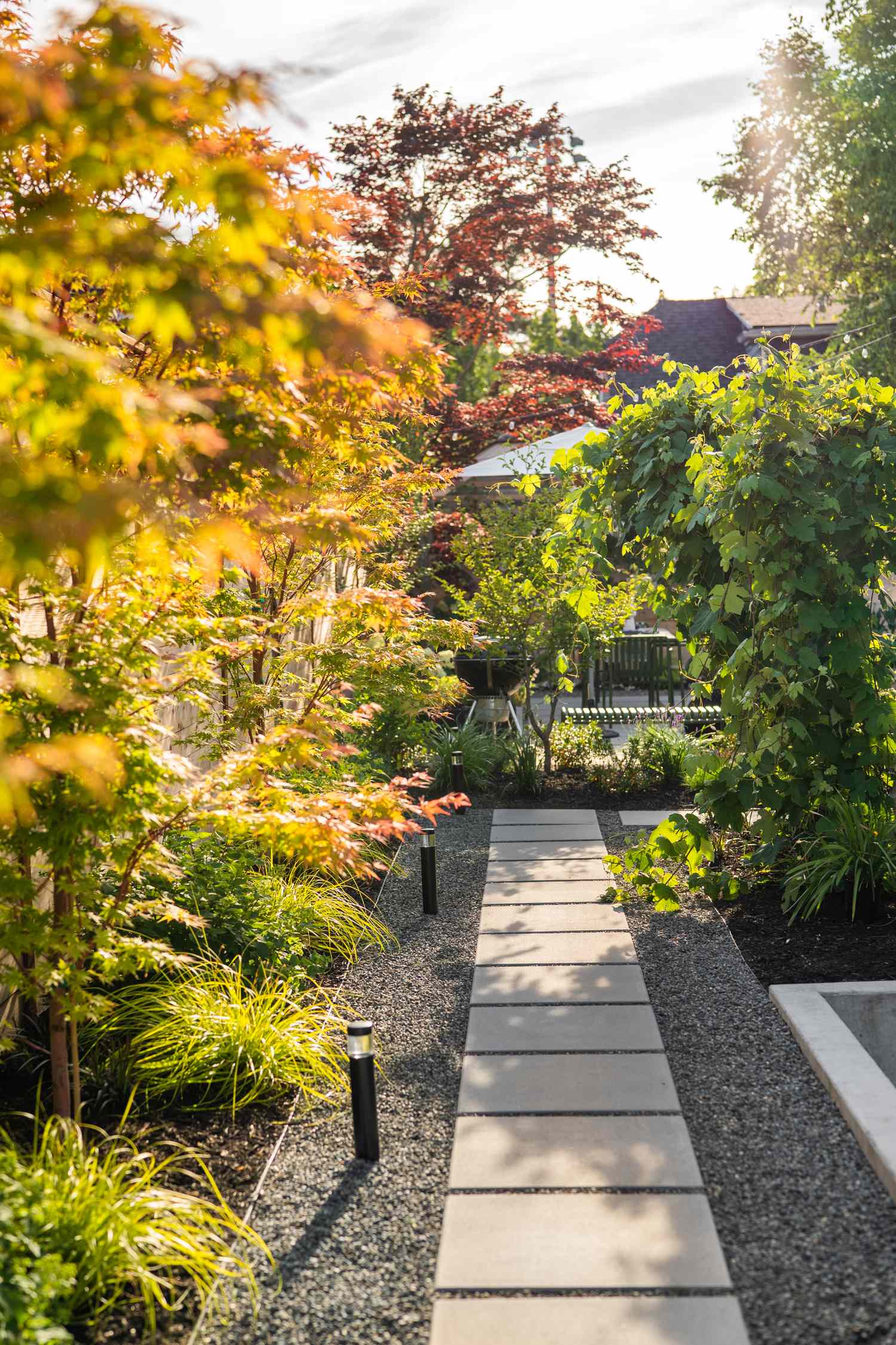 Jardin arrière de Seattle avec gravier et chemin en pavés de ciment, érables japonais et treillis couvert de vigne