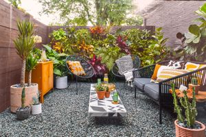 Petit jardin avec des plantes luxuriantes et une décoration imprimée