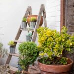 9 Objets Que Vous Avez Chez Vous Qui Font En Réalité Un Excellent Décor Extérieur