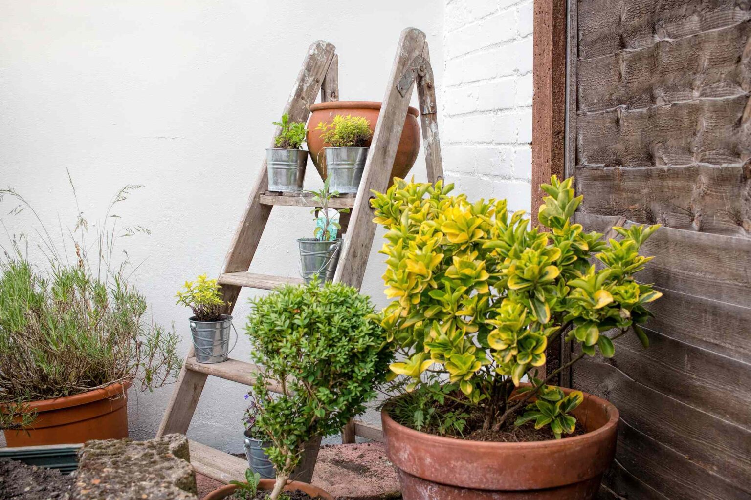 9 Objets Que Vous Avez Chez Vous Qui Font En Réalité Un Excellent Décor Extérieur