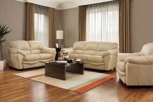 déco de salon démodée avec ensemble de meubles assortis