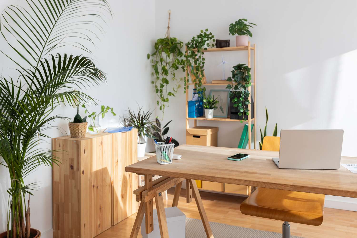 bureau à domicile avec beaucoup de plantes